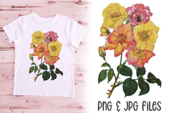 Download Yellow Vintage Rose Illustration PNG - Rose illustration png Collection
